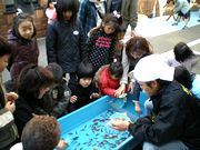 金魚＆スーパーボウルすくい