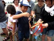 マテ貝とれたよ