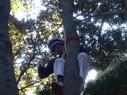 ロープを裁き高所から降下する佐野副部長