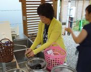 採れたて新鮮野菜