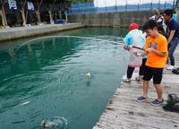 大物が釣れたよ