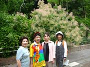 以前開催した東山公園のウォーキング