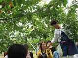 前回の日帰り見学会（さくらんぼ狩り）の様子