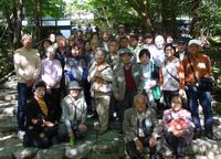 木漏れ日が注ぐ龍安寺にて