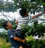 上の方が美味しそう