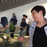 色鮮やかな鳥たち