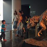 恐竜に睨まれた～