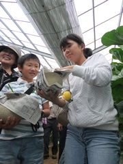 大きなメロン取ったよ