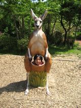 &nbsp;カンガルーのお腹から、こんにちは