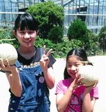 どっちのが甘いかなあ