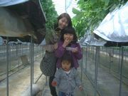 楽しいいちご狩り