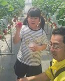 大粒いちごがたくさん