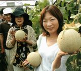 どれにしようか品定め