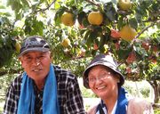 梨の木の下でハイチーズ