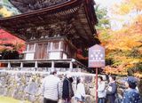国宝建築物と色鮮やかなもみじ