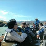 迫力ある天竜舟下り