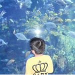 子供達も大満足