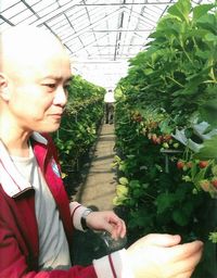 おいしいイチゴですよ