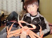 &nbsp;大きなカニだよ
