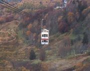 色鮮やかな紅葉