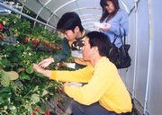 どれにしようかな?