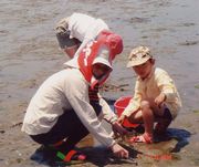 あっちの方が獲れるかな