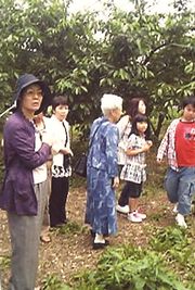 どこの木が美味しいかな