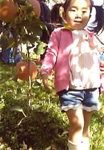 おいしいりんごだよ