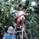 高いところの方が甘いよ