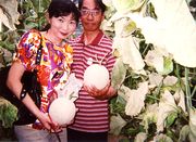 メロンをゲット