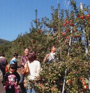 腕を伸ばして、それー