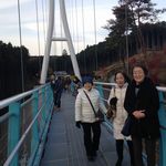 橋の上から絶景を一望