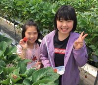 いっぱい食べたよ