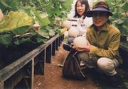 &nbsp;大きなメロンを狩りました