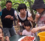 甘いね~美味しい~