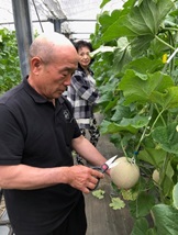 メロンをチョキン