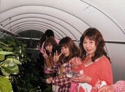 楽しいよ、いちご狩り