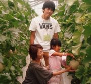 大きなメロンをチョキン