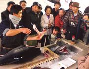 &nbsp;マグロの解体ショー