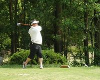 ナイスショット