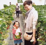 いちご狩りはどこでも人気