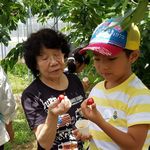 甘くて美味しい