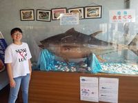 マグロと一緒に…