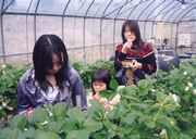 夢中にパクパク