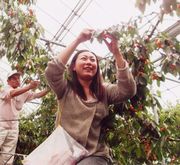 &nbsp;これにしよ～