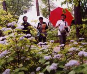 &nbsp;マイナスイオンたっぷりの森林を散策