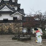雨の中ひこにゃんがお出迎え
