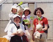 甘～い、マスクメロン収穫