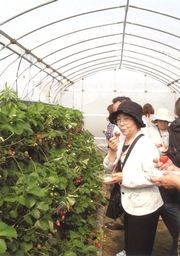 &nbsp;美味しいですヨ