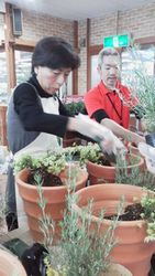 真剣な様子で作業しています